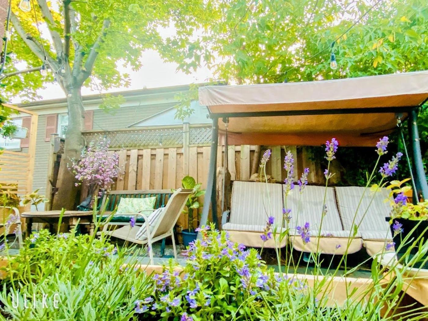 Toronto Bed & Breakfast - Free Parking Bagian luar foto