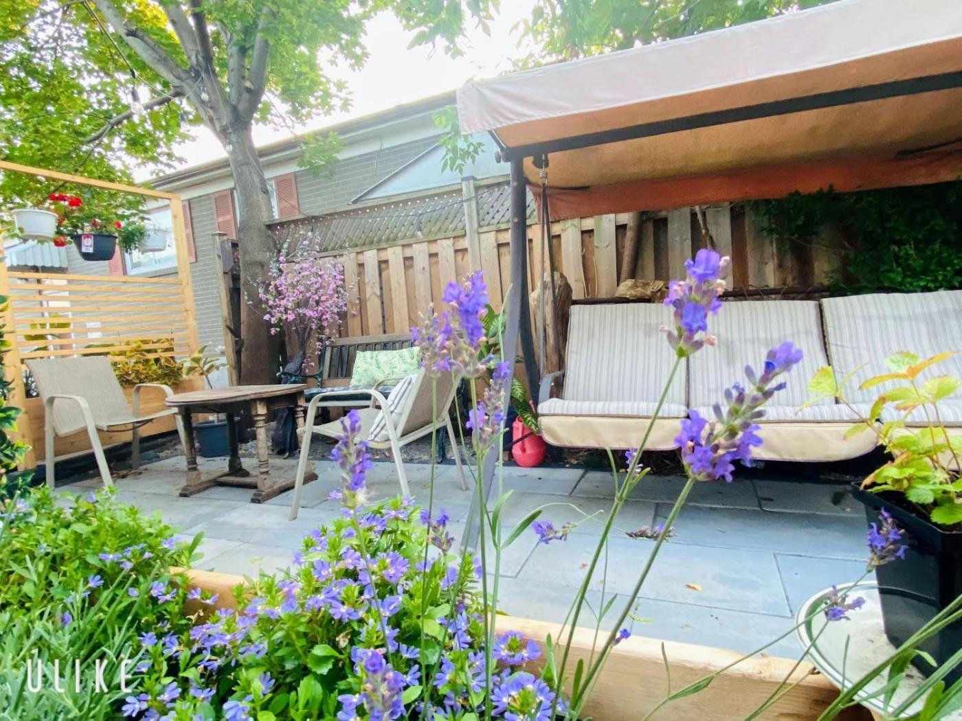 Toronto Bed & Breakfast - Free Parking Bagian luar foto